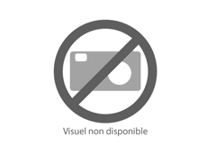 téléchargement
